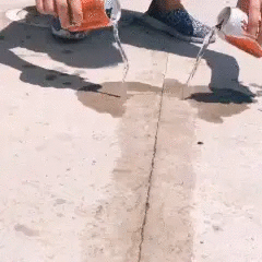 Одежда